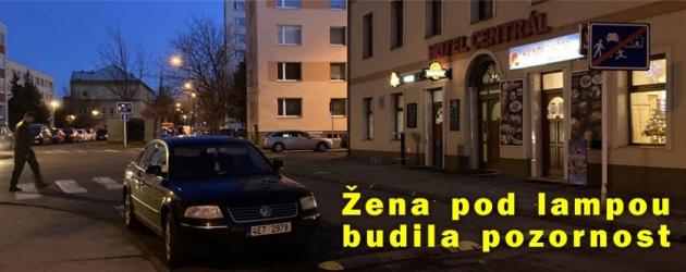 Žena pod lampou řekla strážníkům, že si jen potřebovala ulevit