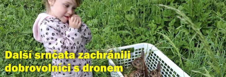 Sedm srnčat zachránily drony i v honitbě Městských lesů Chrudim