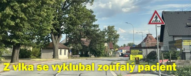 Z vlka se vyklubal zoufalý pacient