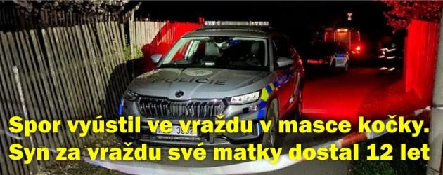 Spor s matkou vyústil ve vraždu sekyrou v masce kočky a pro syna skončil vězením
