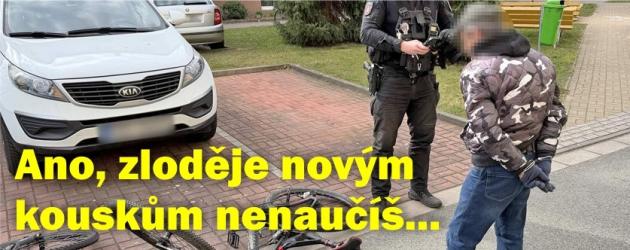 Starého psa ani zloděje novým kouskům nenaučíš?