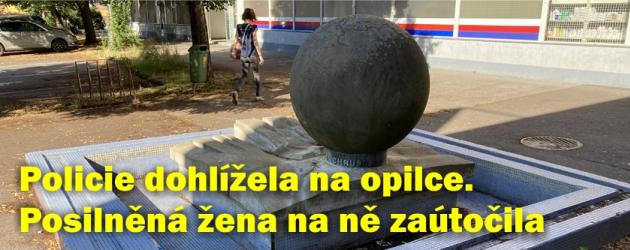 Dýchánek na Borzně skončil s rukama v poutech na záchytce