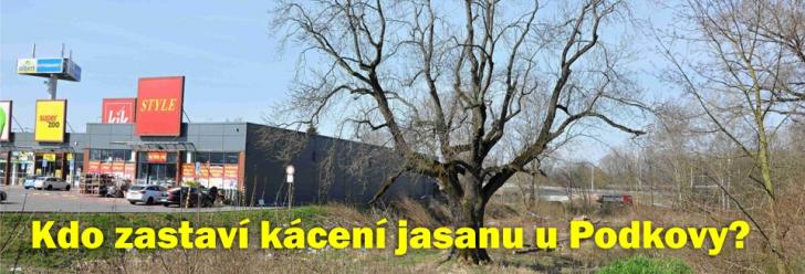 Přežije jasan? Přijďte se vyfotit na jeho podporu
