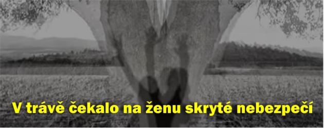 V trávě číhalo na ženu skryté nebezpečí