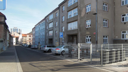 V době pandemie nepřizpůsobiví trýznili obyvatele Bronxu