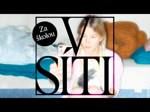 Letní kino uvádí V síti: Za školou   