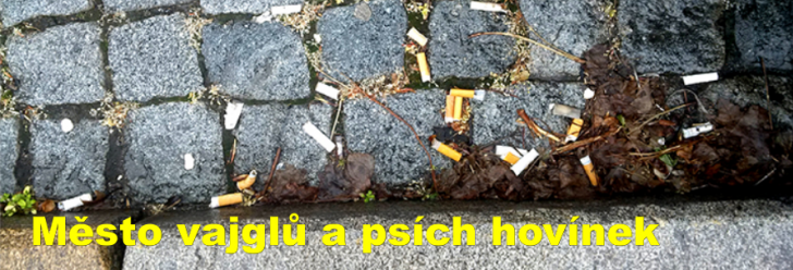 Město vajglů a psích hovínek