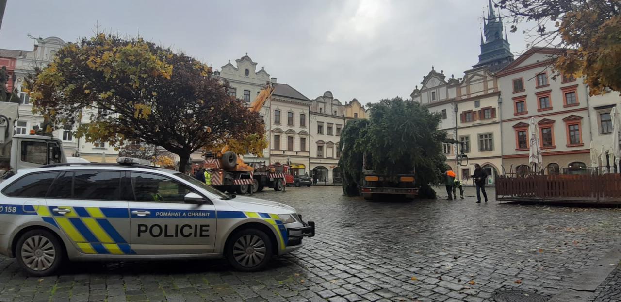 Každoroční předhánění s vánočními stromy je tady, aneb kdo si jich může dovolit nejvíc