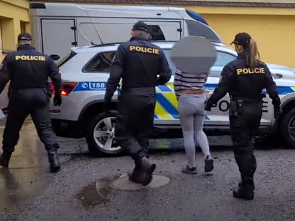 Za vraždu seniorky hrozí podezřelým až výjimečný trest